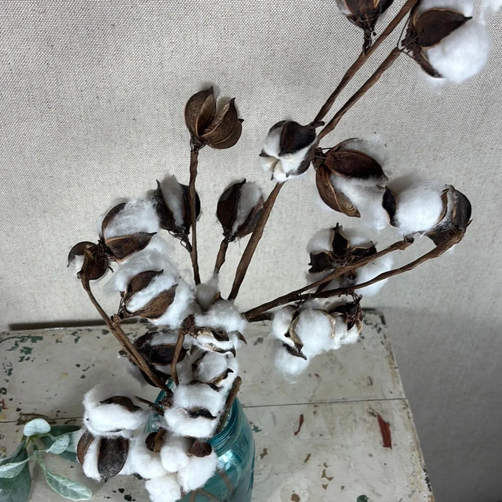 Rustic Cotton Stems in Blue Glass Vase